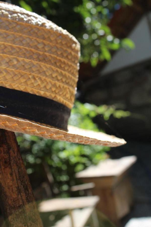 Bosque Dos Amieiros Villa มาร์โก เดอ คานาเวเซส ภายนอก รูปภาพ